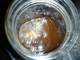 Baby Scoby