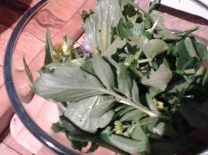 Foraged Salad