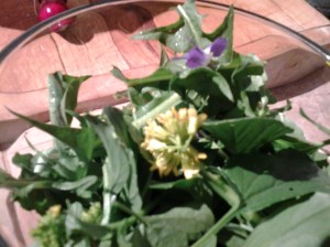 Foraged Salad