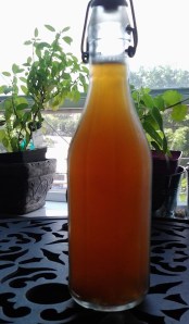 Jasmine Kombucha