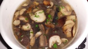 mushroom soup