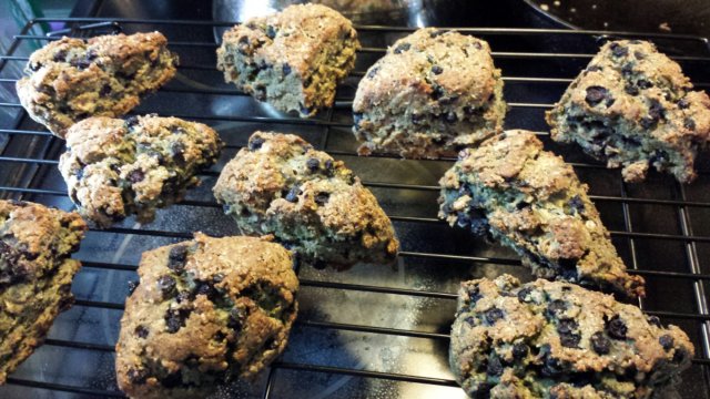 Wild Blueberry Scones (Gluten-Free)